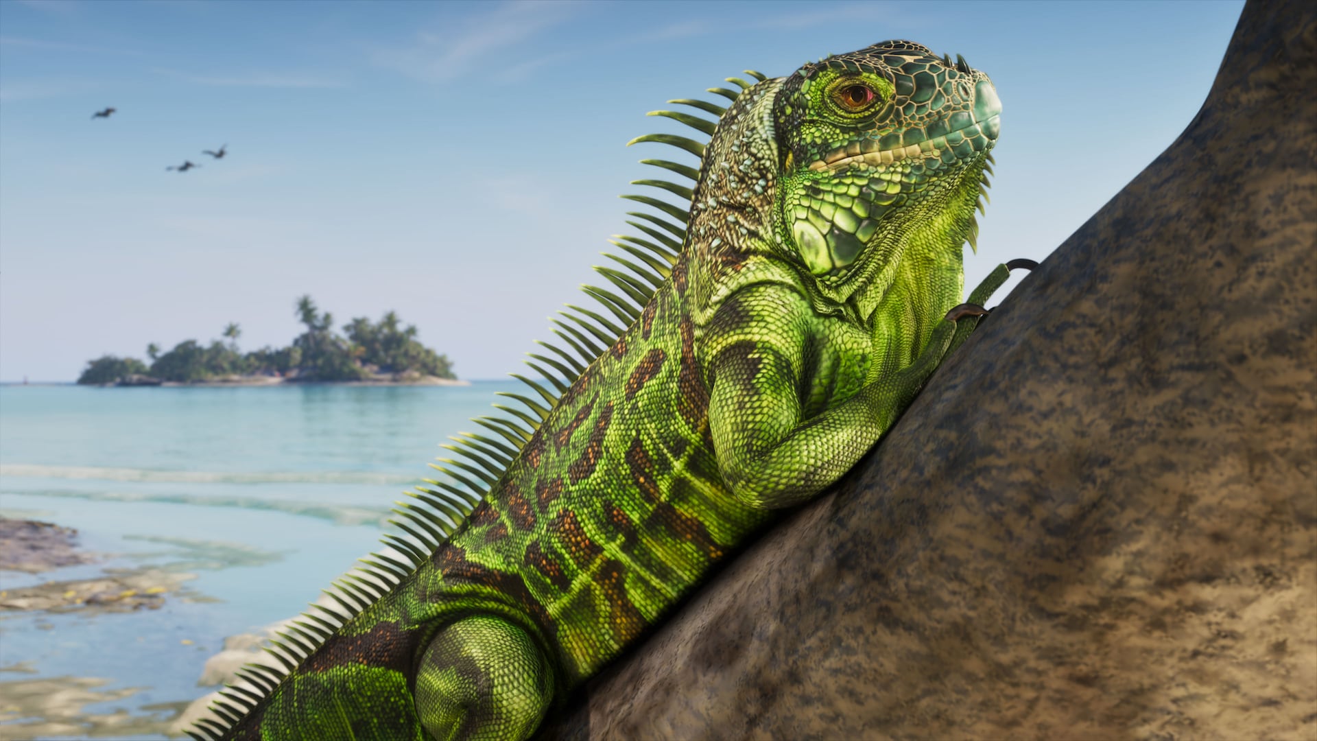 An iguana on a seawall beside the tropical Leonida Keys coast in Grand Theft Auto VI